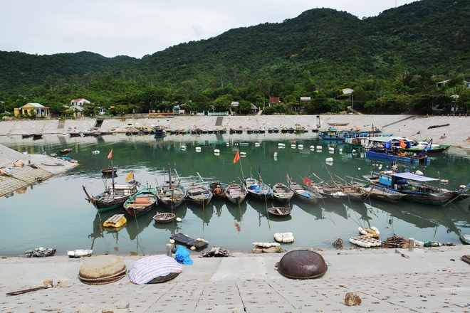 Cu Lao Cham – friendly green islands